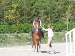 IMG_0526_web